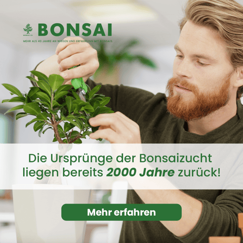Bonsai FB Ads 1080-1080_1
